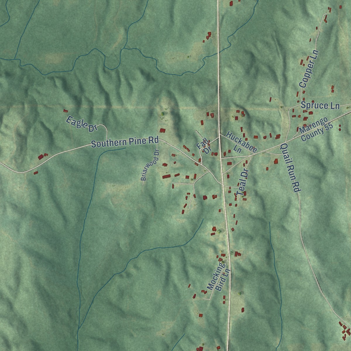 Second close-up of the map of Marengo, Alabama print showing more streets and buildings