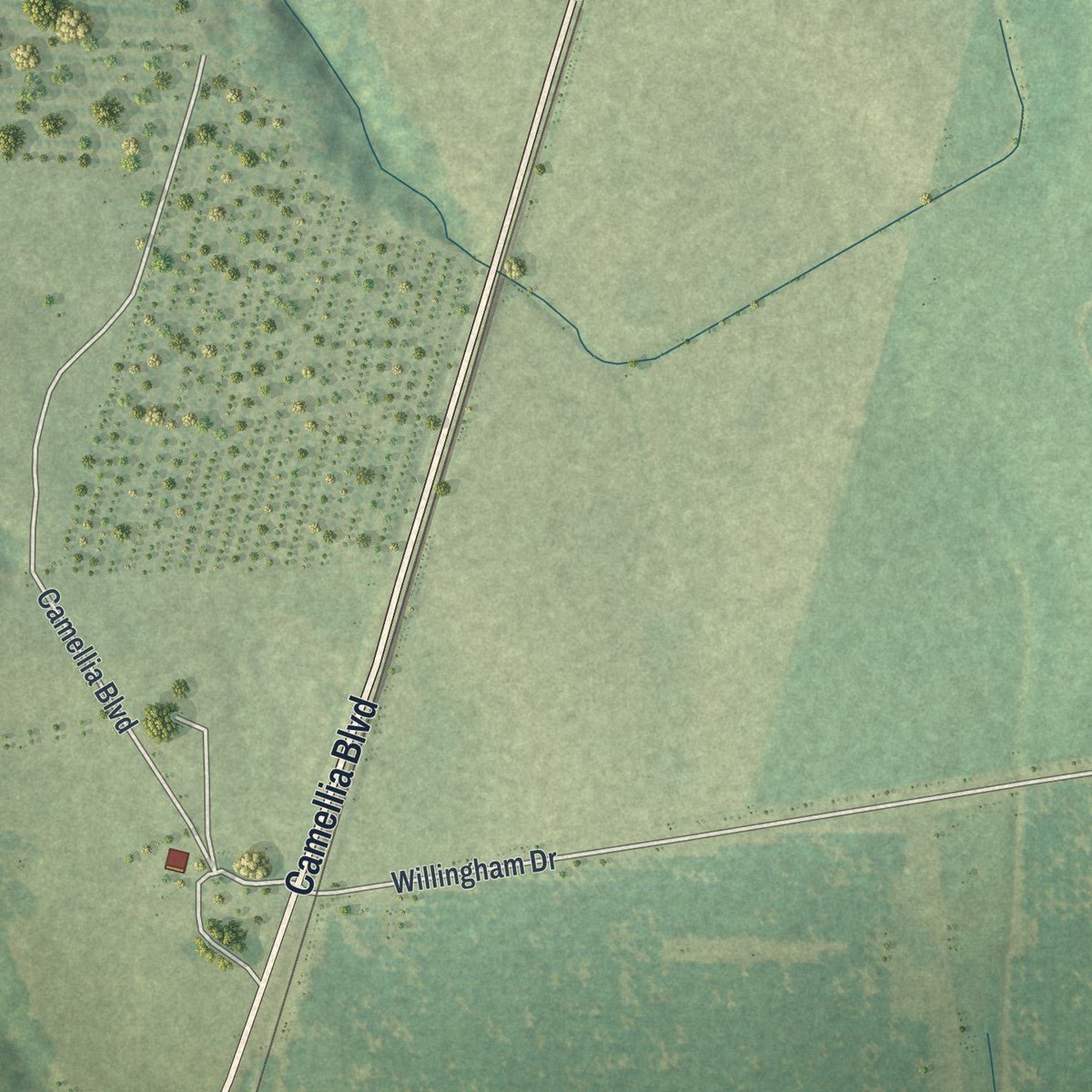 Second close-up of the map of Marshallville, Georgia print showing more streets and buildings
