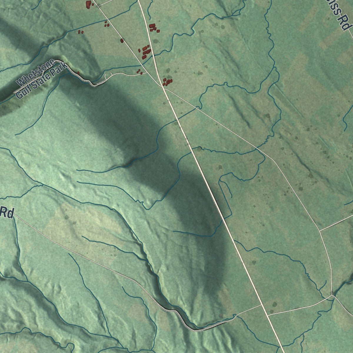 Second close-up of the map of Martinsburg, New York print showing more streets and buildings