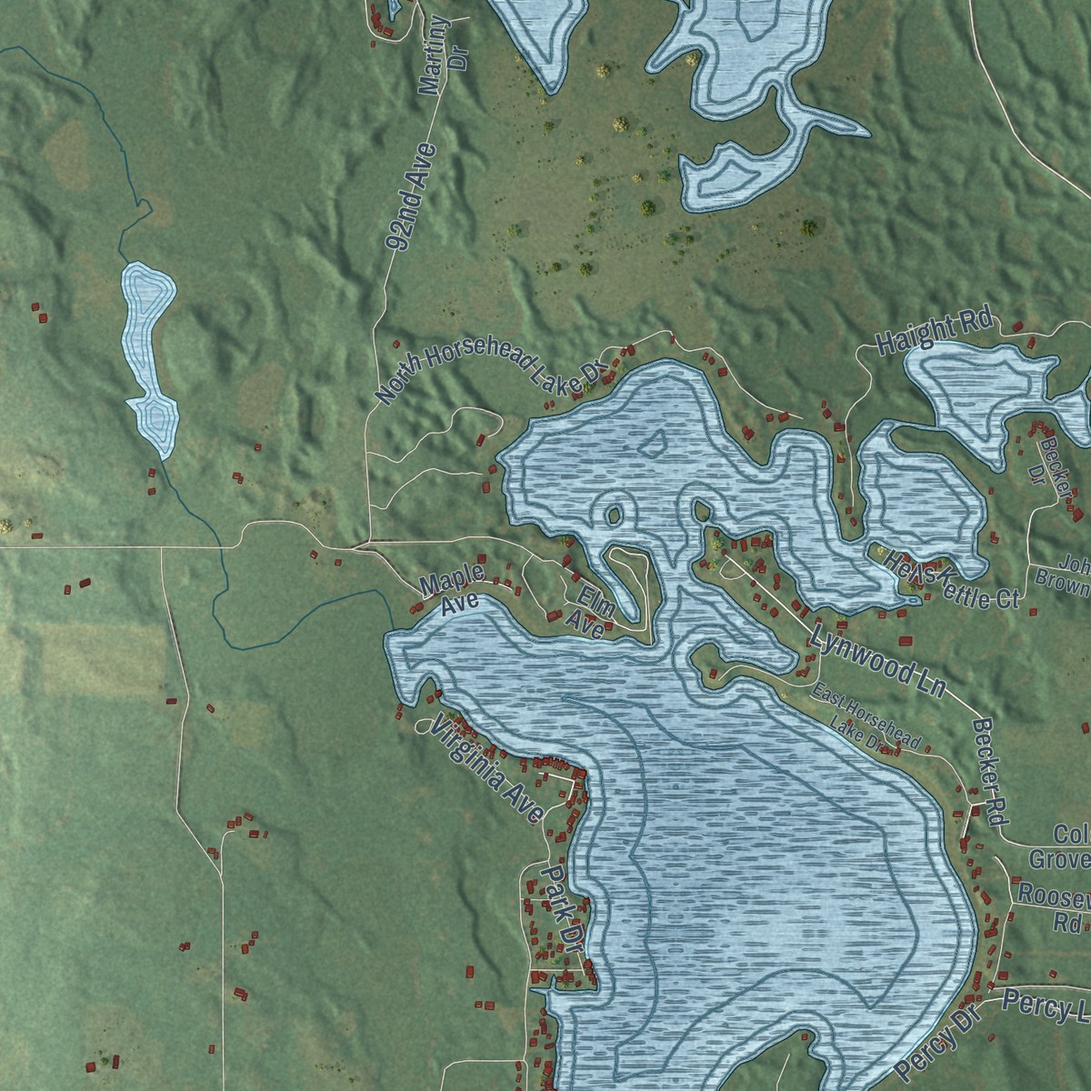 Second close-up of the map of Martiny, Michigan print showing more streets and buildings
