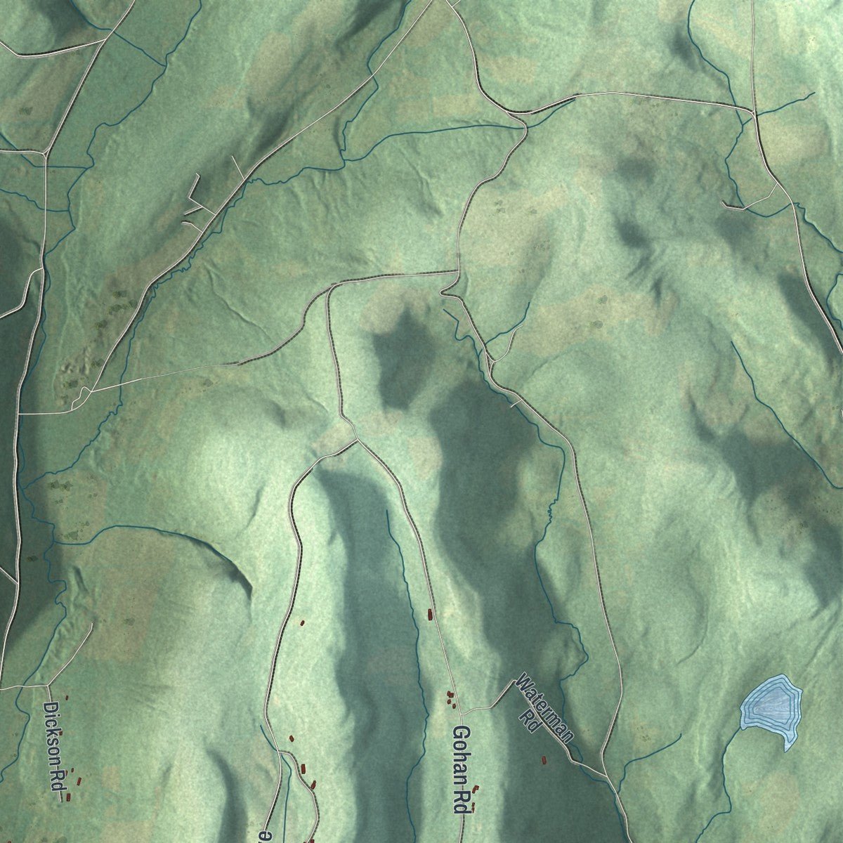 Second close-up of the map of Maryland, New York print showing more streets and buildings