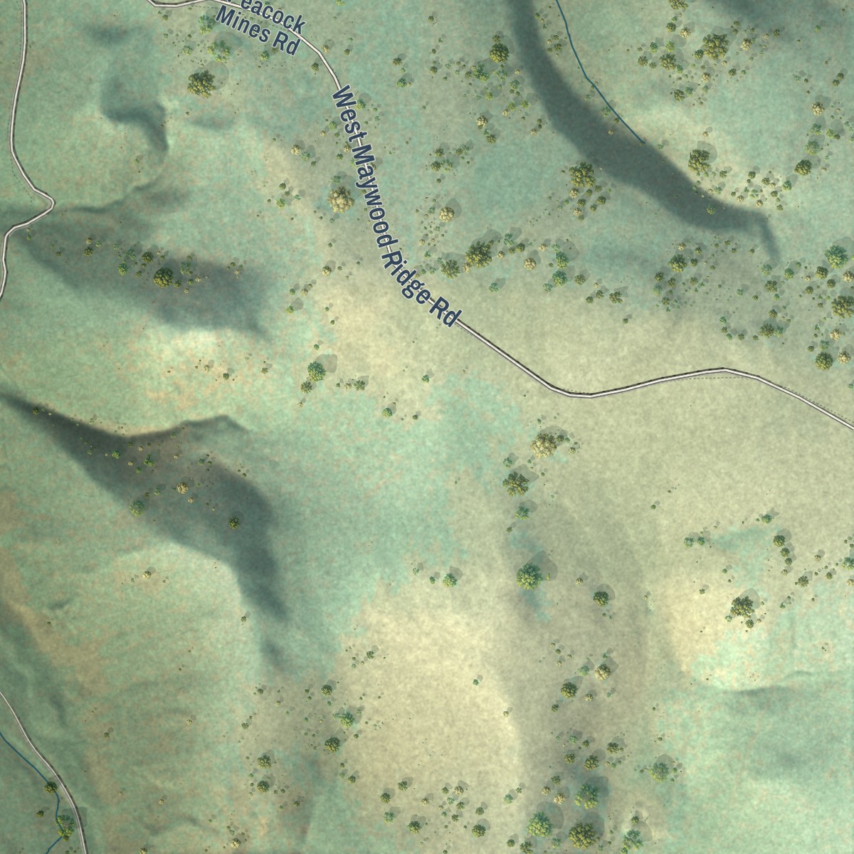 Second close-up of the map of Maxville, Montana print showing more streets and buildings