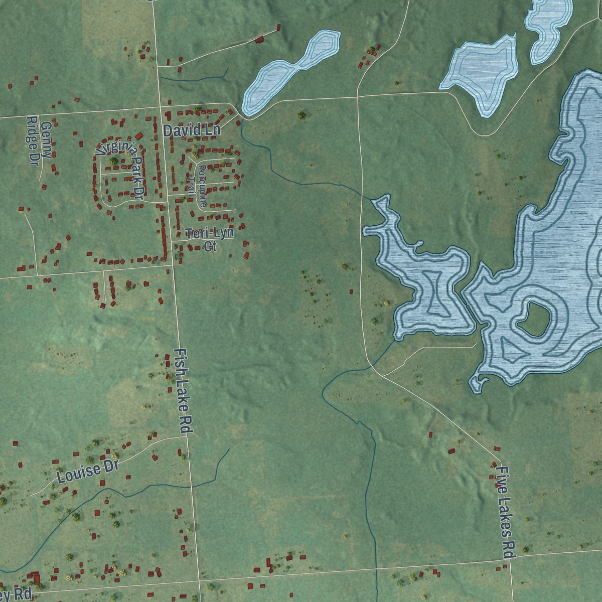 Second close-up of the map of Mayfield, Lapeer County, Michigan print showing more streets and buildings
