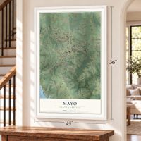 Mayo, South Carolina map, 24 x 36 inch print in a white frame by a staircase