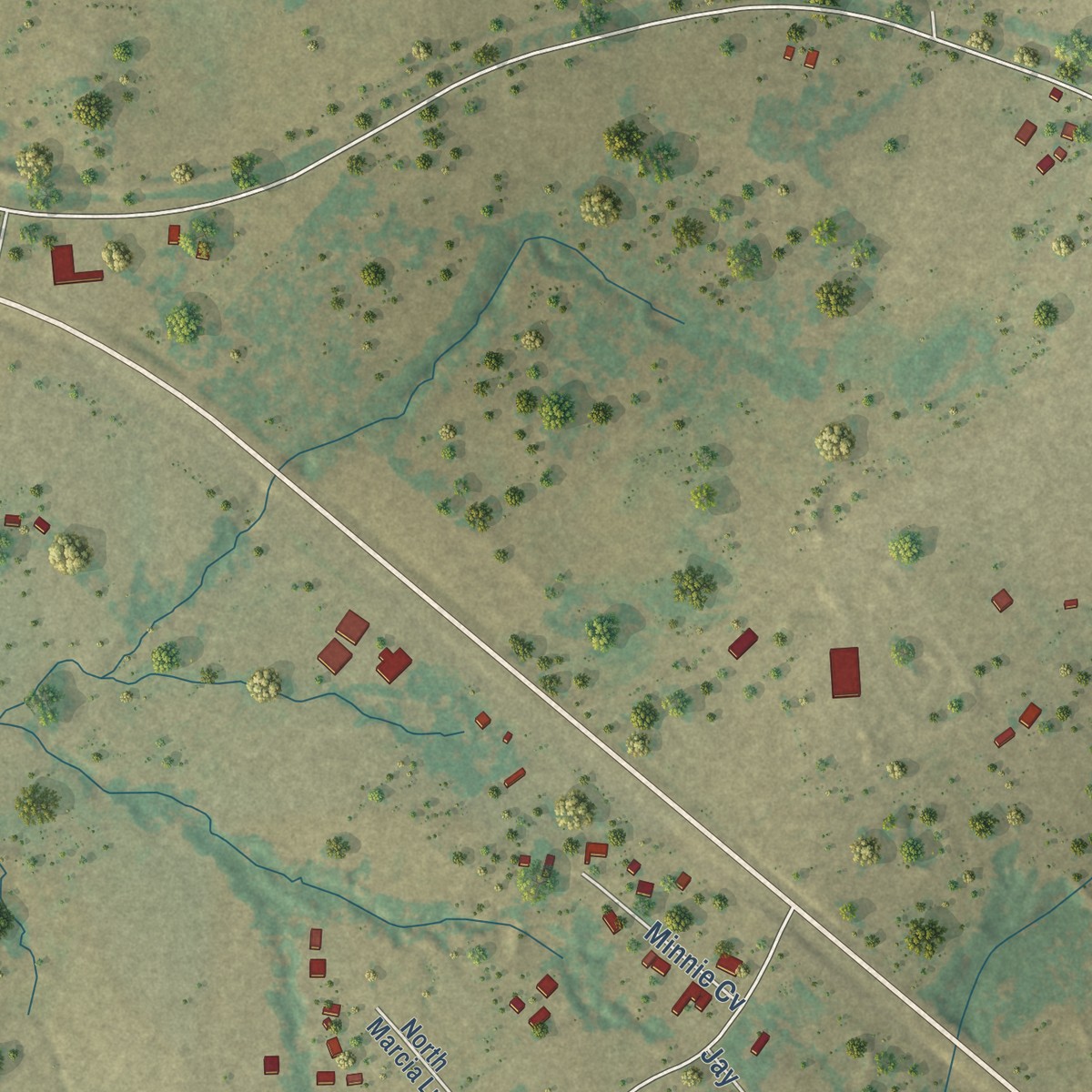 Second close-up of the map of McDade, Texas print showing more streets and buildings