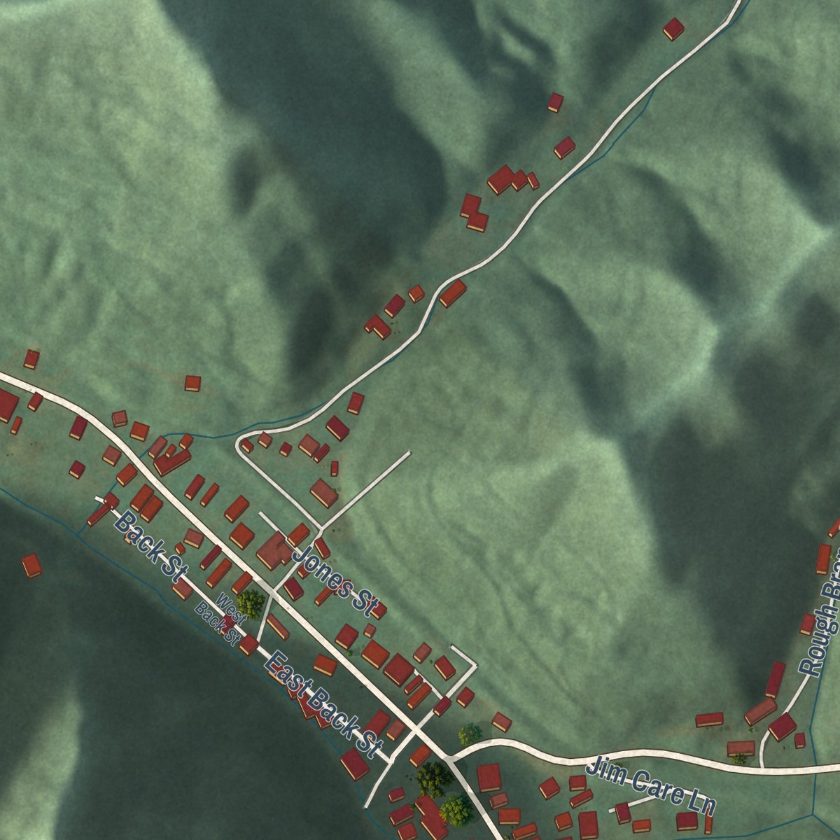 Second close-up of the map of McDowell, Kentucky print showing more streets and buildings