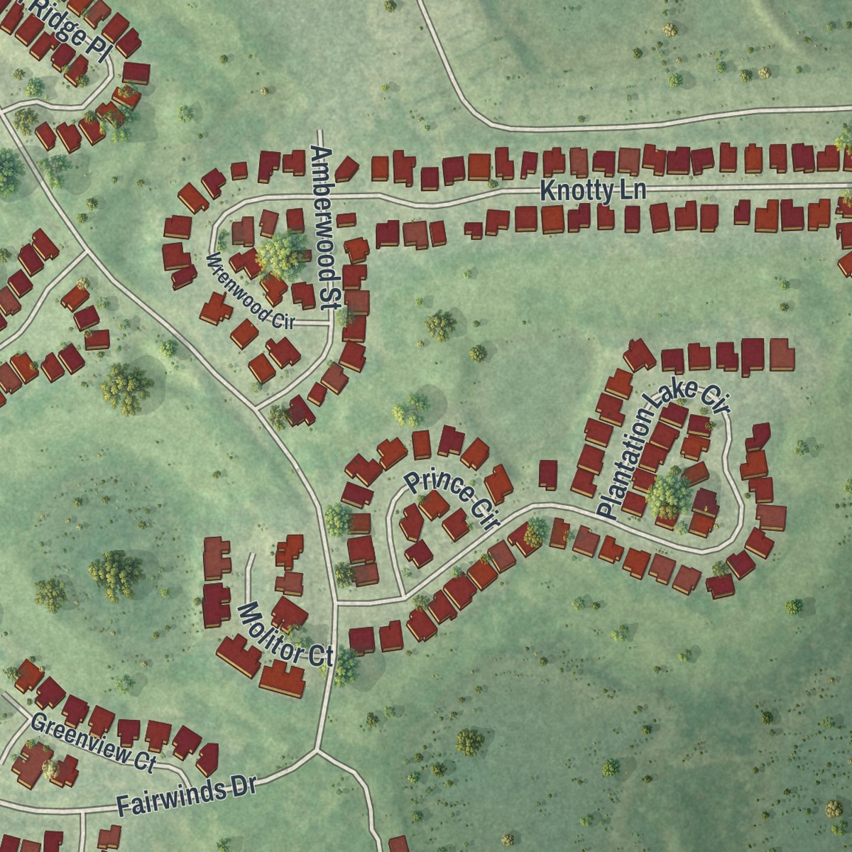 Second close-up of the map of Meadow Oaks, Florida print showing more streets and buildings