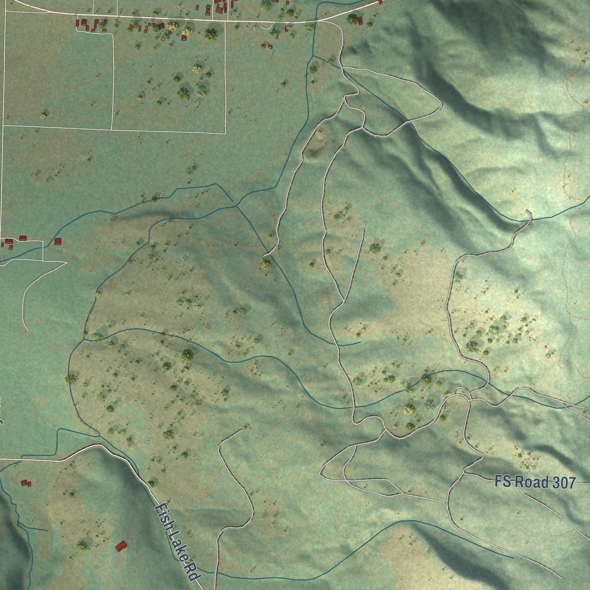 Second close-up of the map of Meadows, Idaho print showing more streets and buildings