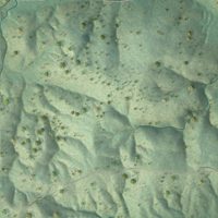 Second close-up of the map of Medicine Park, Oklahoma print showing more streets and buildings