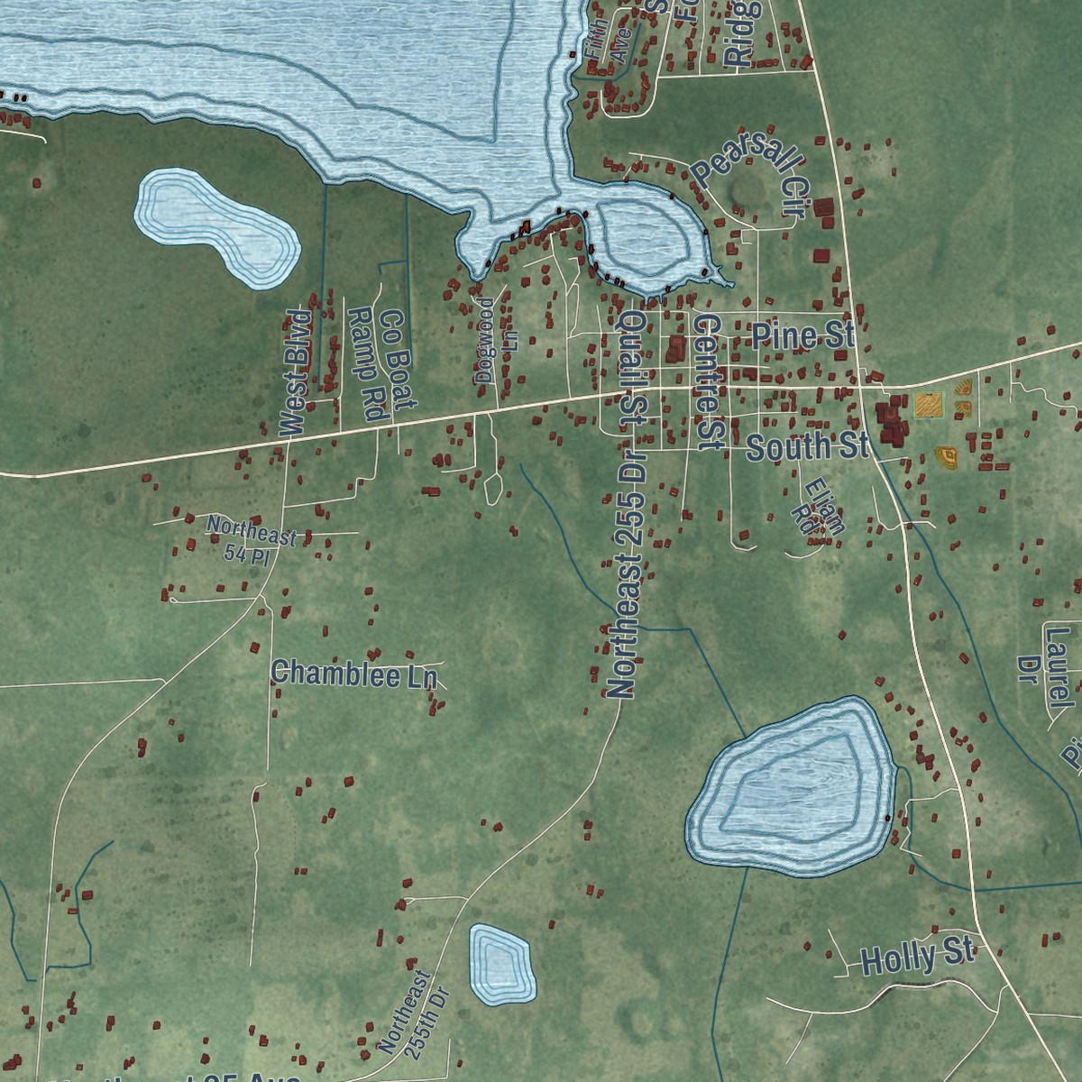 Second close-up of the map of Melrose, Florida print showing more streets and buildings