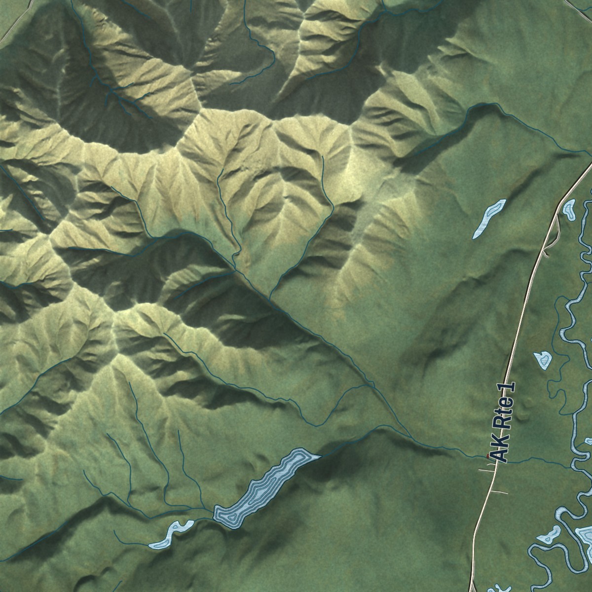 Second close-up of the map of Mentasta Lake, Alaska print showing more streets and buildings