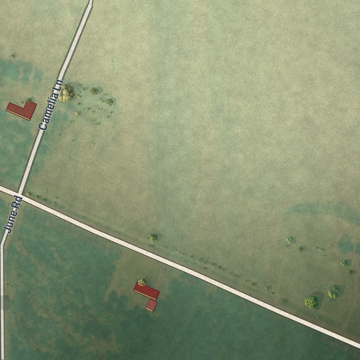 Second close-up of the map of Mershon, Georgia print showing more streets and buildings
