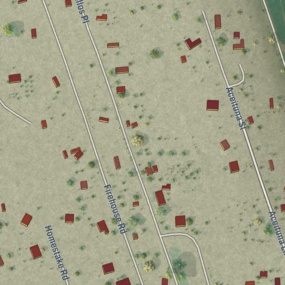 Second close-up of the map of Mesquite, New Mexico print showing more streets and buildings