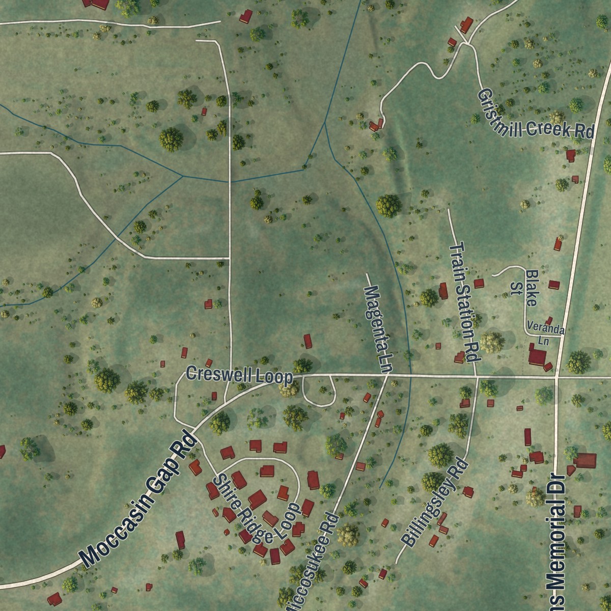 Second close-up of the map of Miccosukee, Florida print showing more streets and buildings