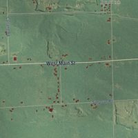 Second close-up of the map of Middlebury, Michigan print showing more streets and buildings