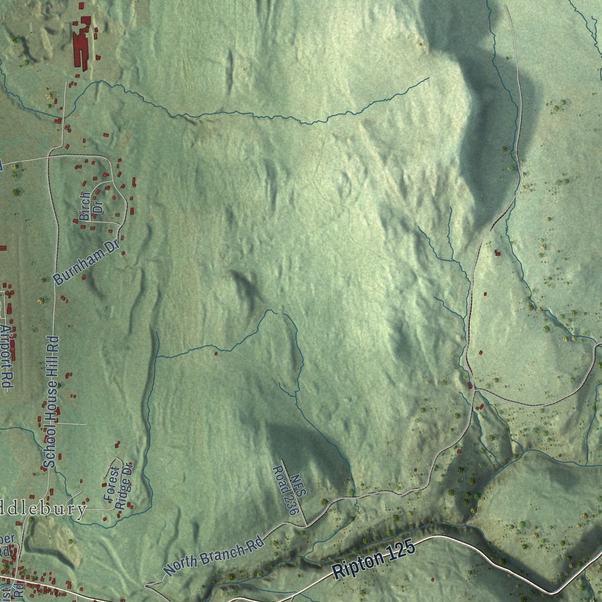 Second close-up of the map of Middlebury, Vermont print showing more streets and buildings