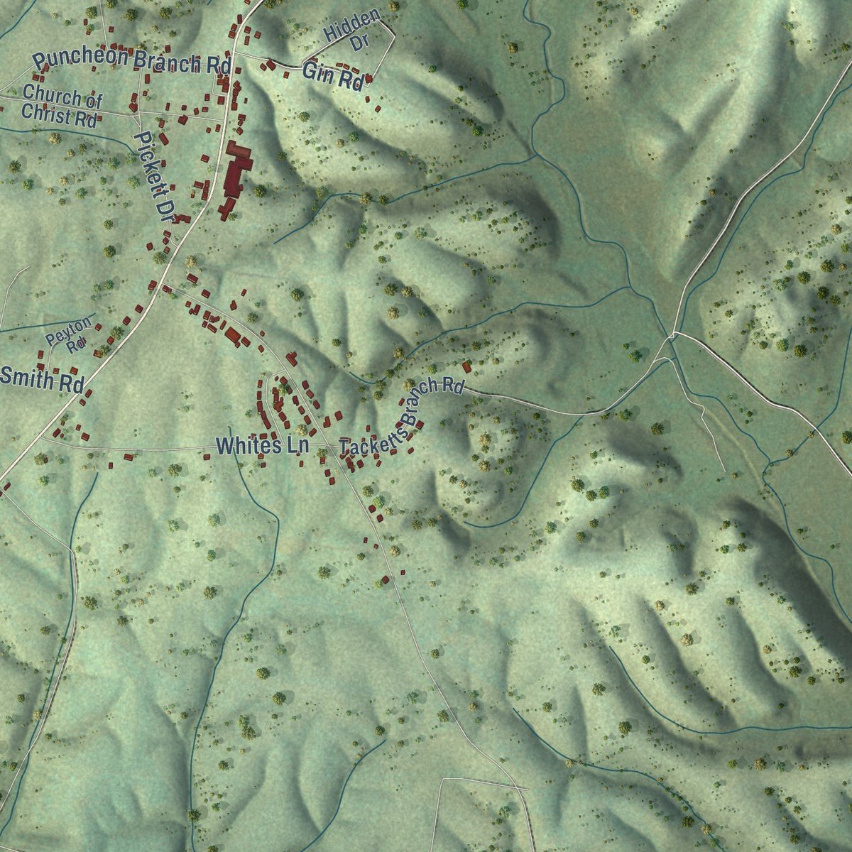Second close-up of the map of Minor Hill, Tennessee print showing more streets and buildings