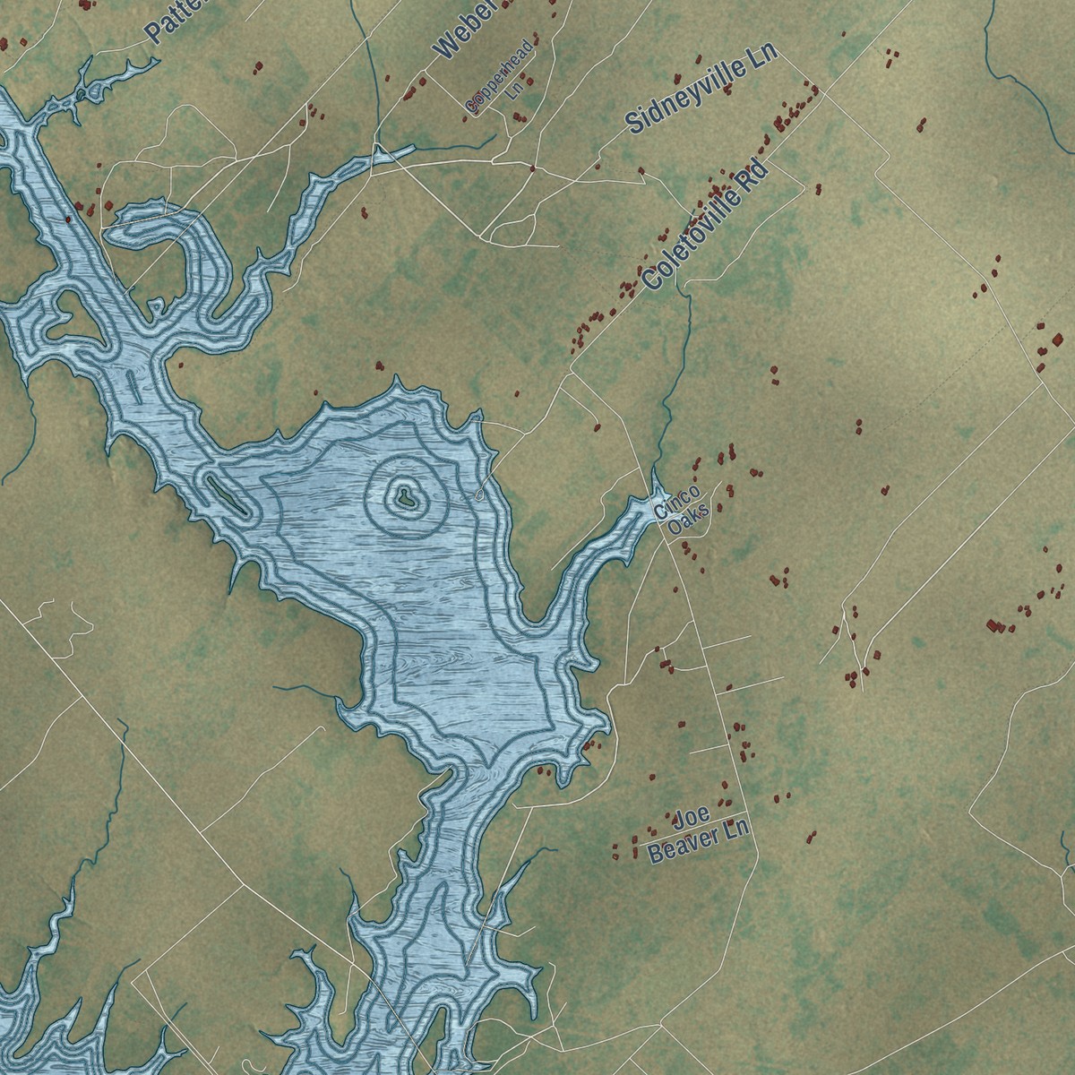 Second close-up of the map of Mission Valley, Texas print showing more streets and buildings