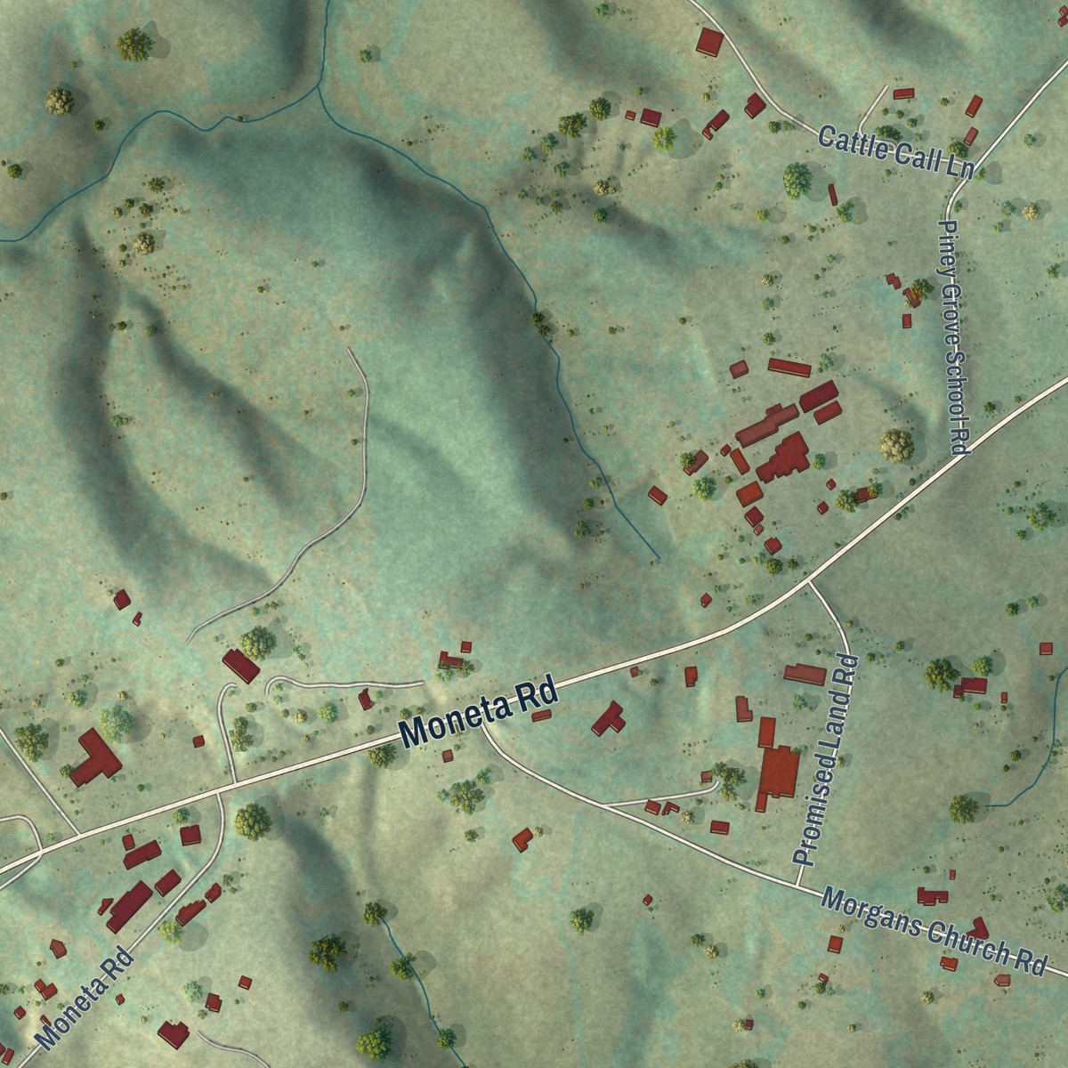 Second close-up of the map of Moneta, Virginia print showing more streets and buildings
