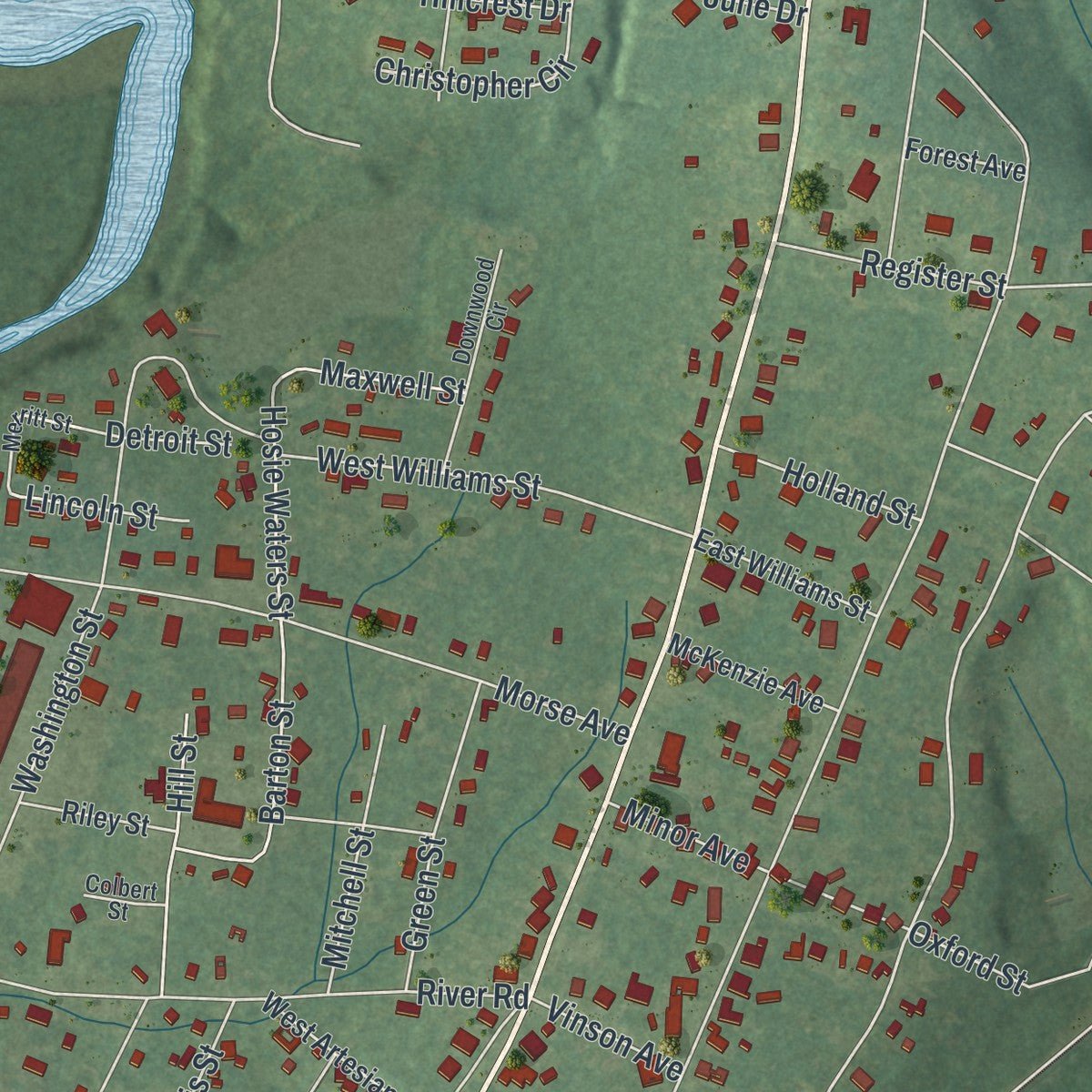 Second close-up of the map of Montezuma, Georgia print showing more streets and buildings