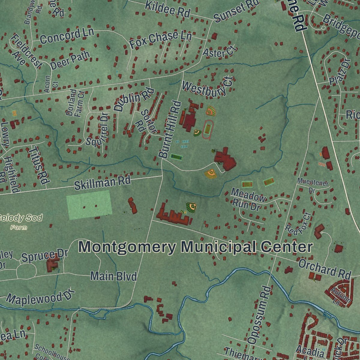 Second close-up of the map of Montgomery, New Jersey print showing more streets and buildings