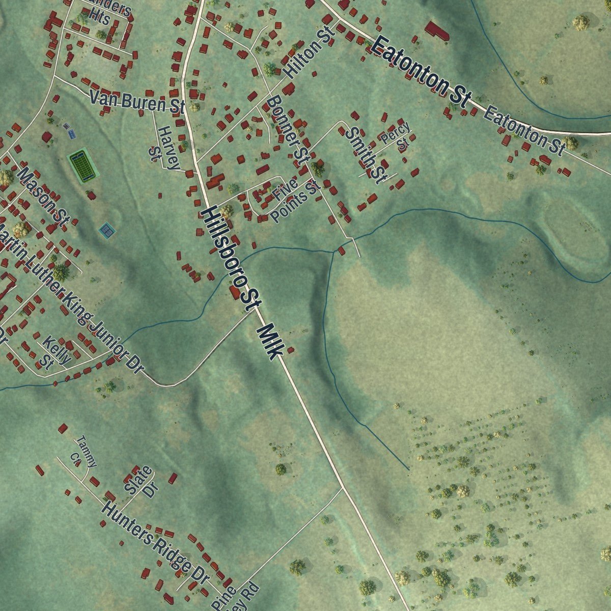 Second close-up of the map of Monticello, Georgia print showing more streets and buildings
