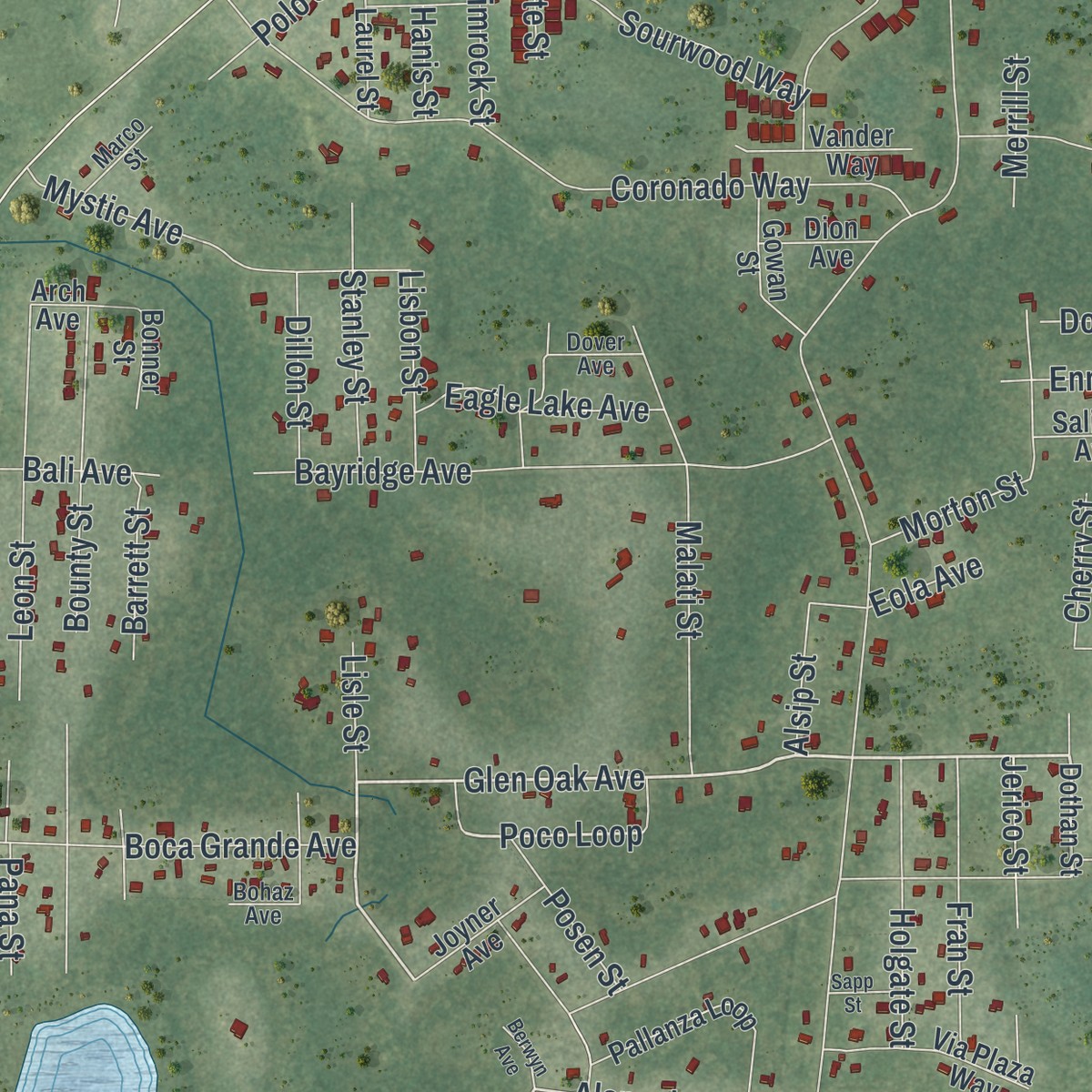 Second close-up of the map of Moon Lake, Florida print showing more streets and buildings