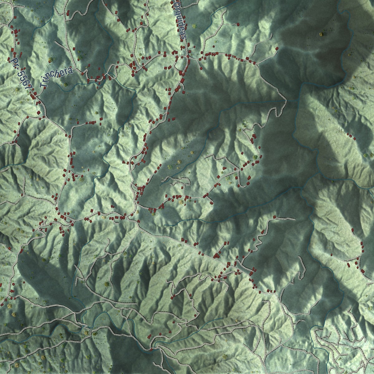 Second close-up of the map of Morovis, Puerto Rico print showing more streets and buildings