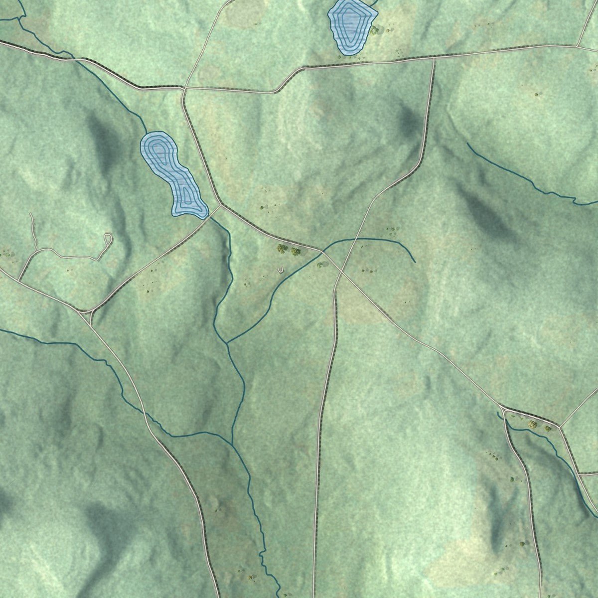 Second close-up of the map of Morris, New York print showing more streets and buildings