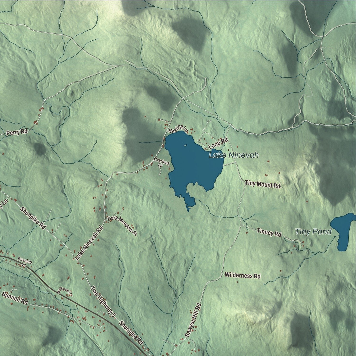 Close-up of the map of Mount Holly, Vermont print showing terrain and local geography