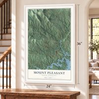 Mount Pleasant, Wilkes County, North Carolina map, 24 x 36 inch print in a white frame by a staircase