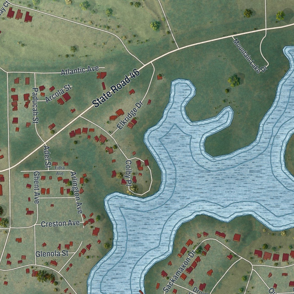 Second close-up of the map of Mount Plymouth, Florida print showing more streets and buildings