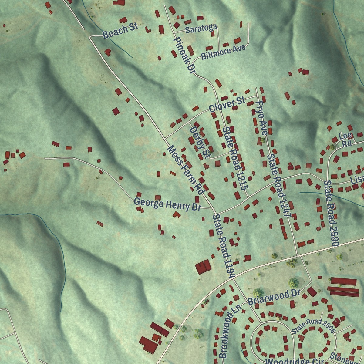 Second close-up of the map of Mountain View, North Carolina print showing more streets and buildings