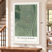 Mt. Gilead Woods, Georgia map, 24 x 36 inch print in a white frame by a staircase