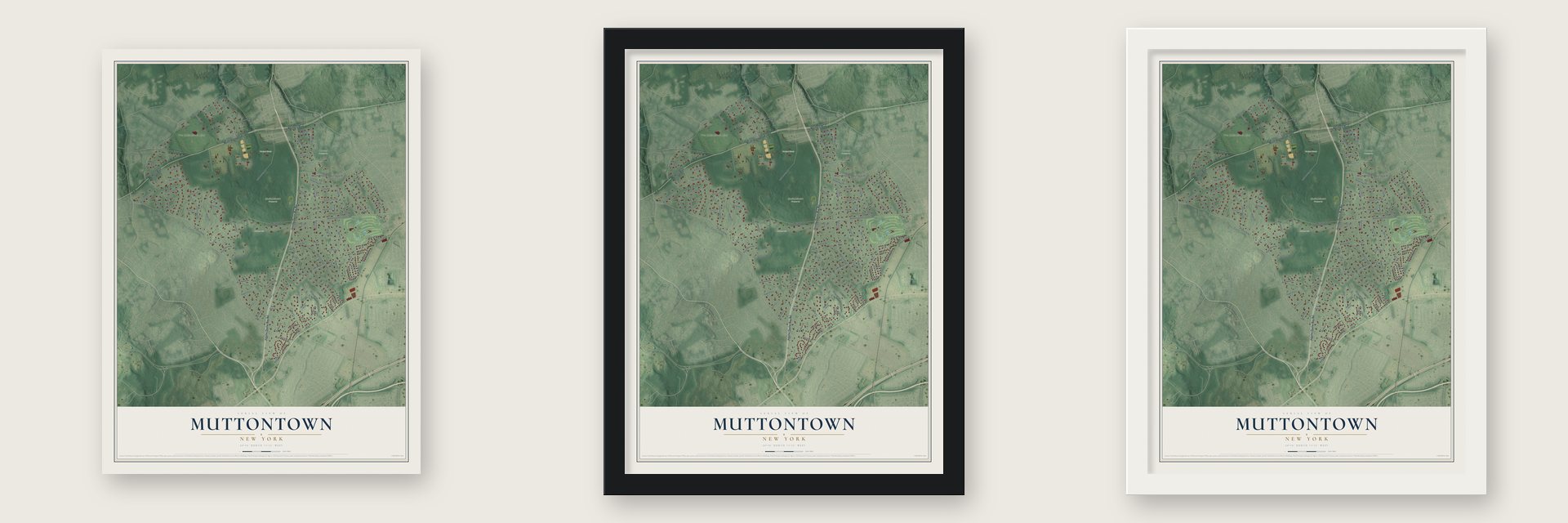 Muttontown, New York map unframed, in a black wood frame and in a white wood frame