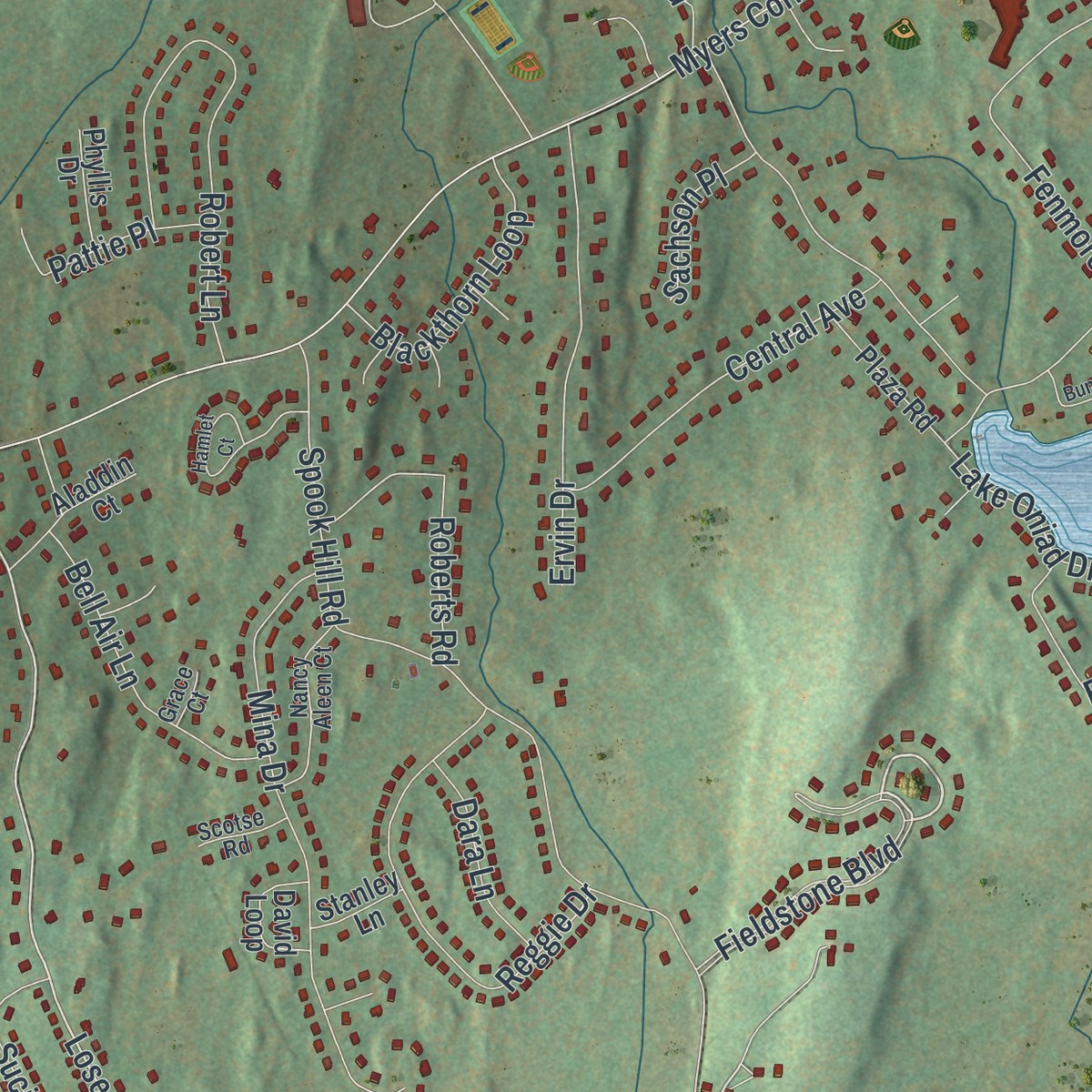 Second close-up of the map of Myers Corner, New York print showing more streets and buildings