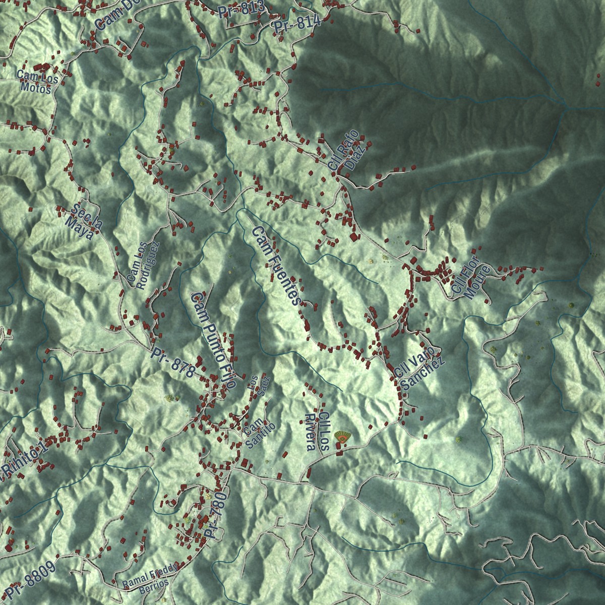 Second close-up of the map of Naranjito, Puerto Rico print showing more streets and buildings