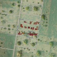 Second close-up of the map of Narciso Pena, Texas print showing more streets and buildings