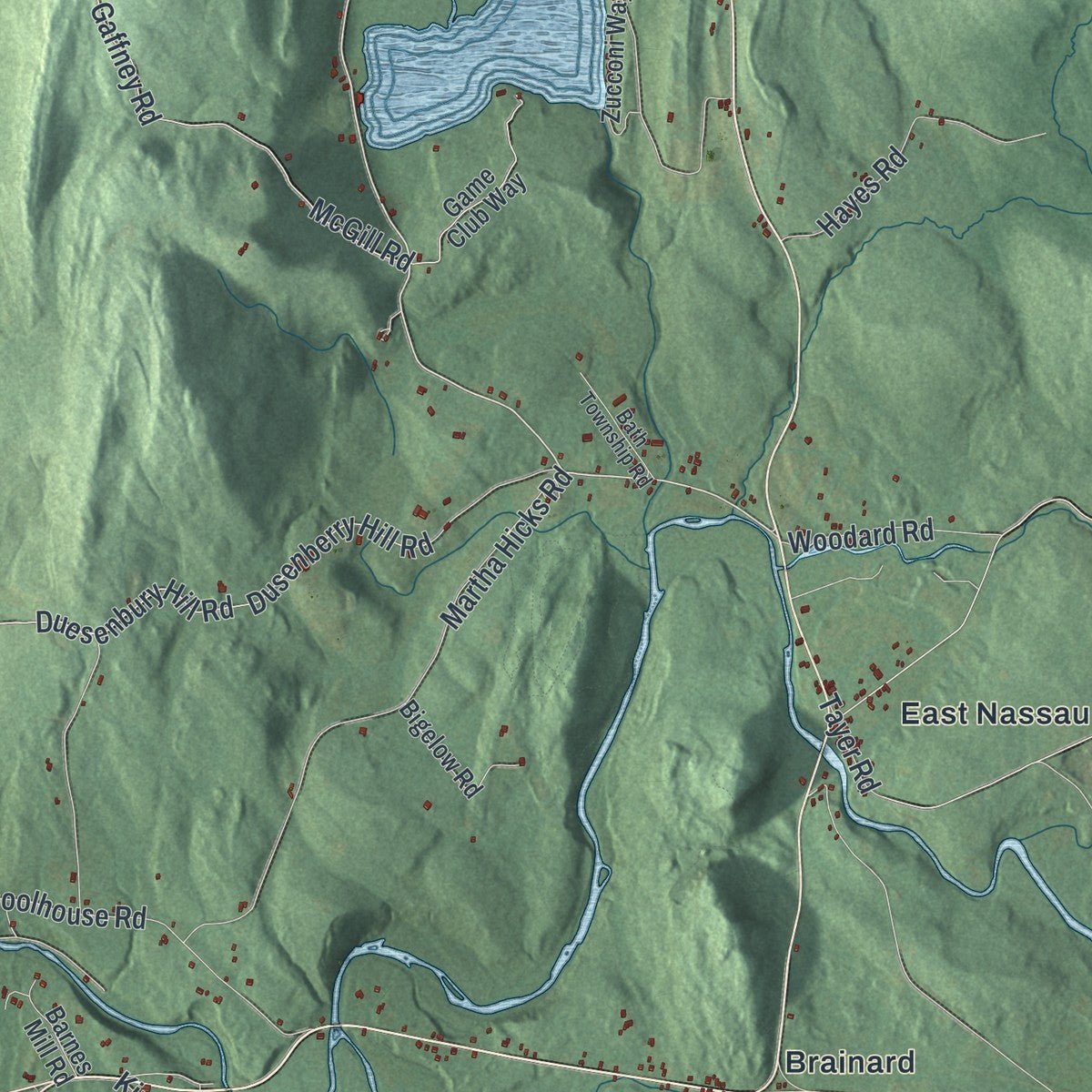 Second close-up of the map of Nassau, New York print showing more streets and buildings