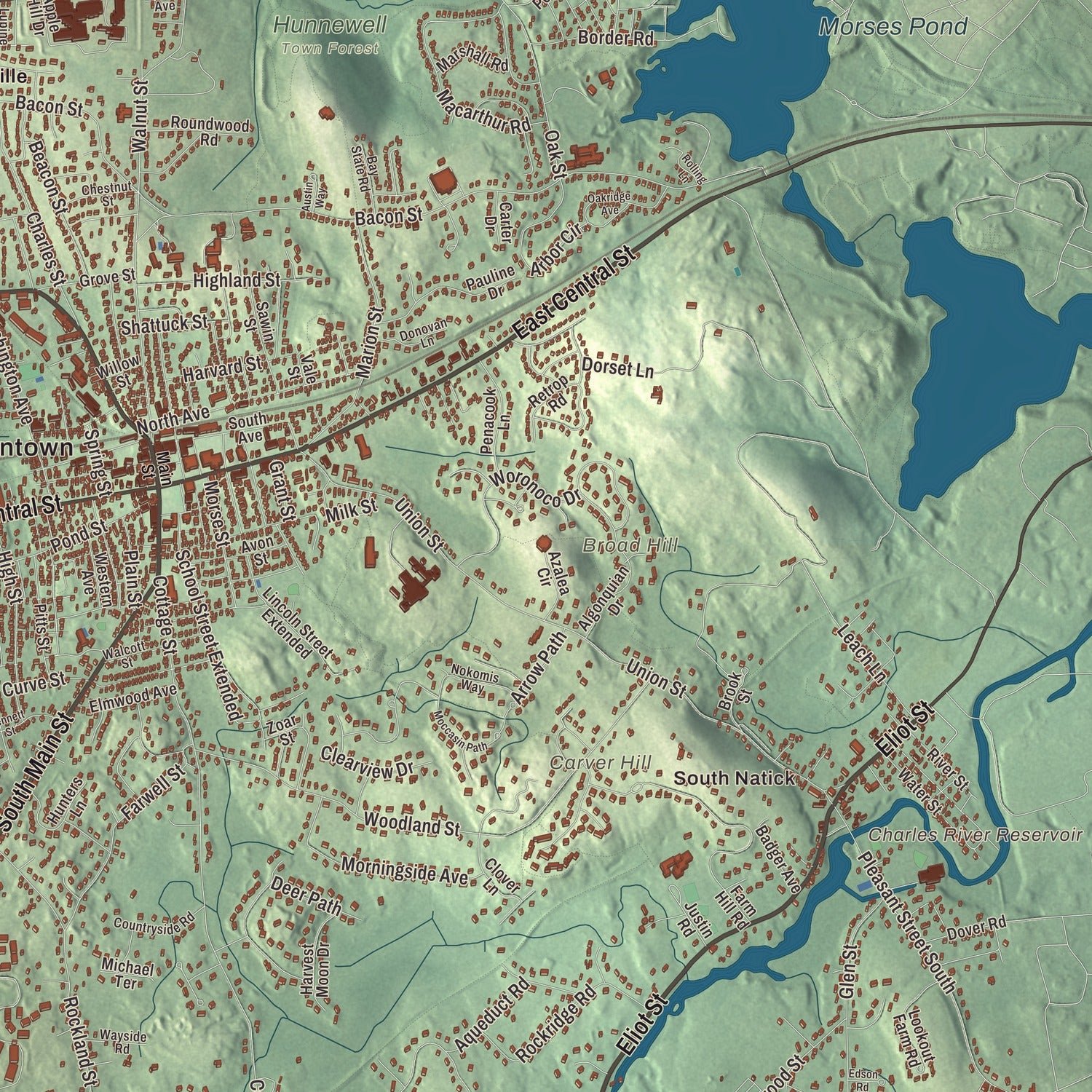 Close-up of the map of Natick, Massachusetts print showing terrain and local geography