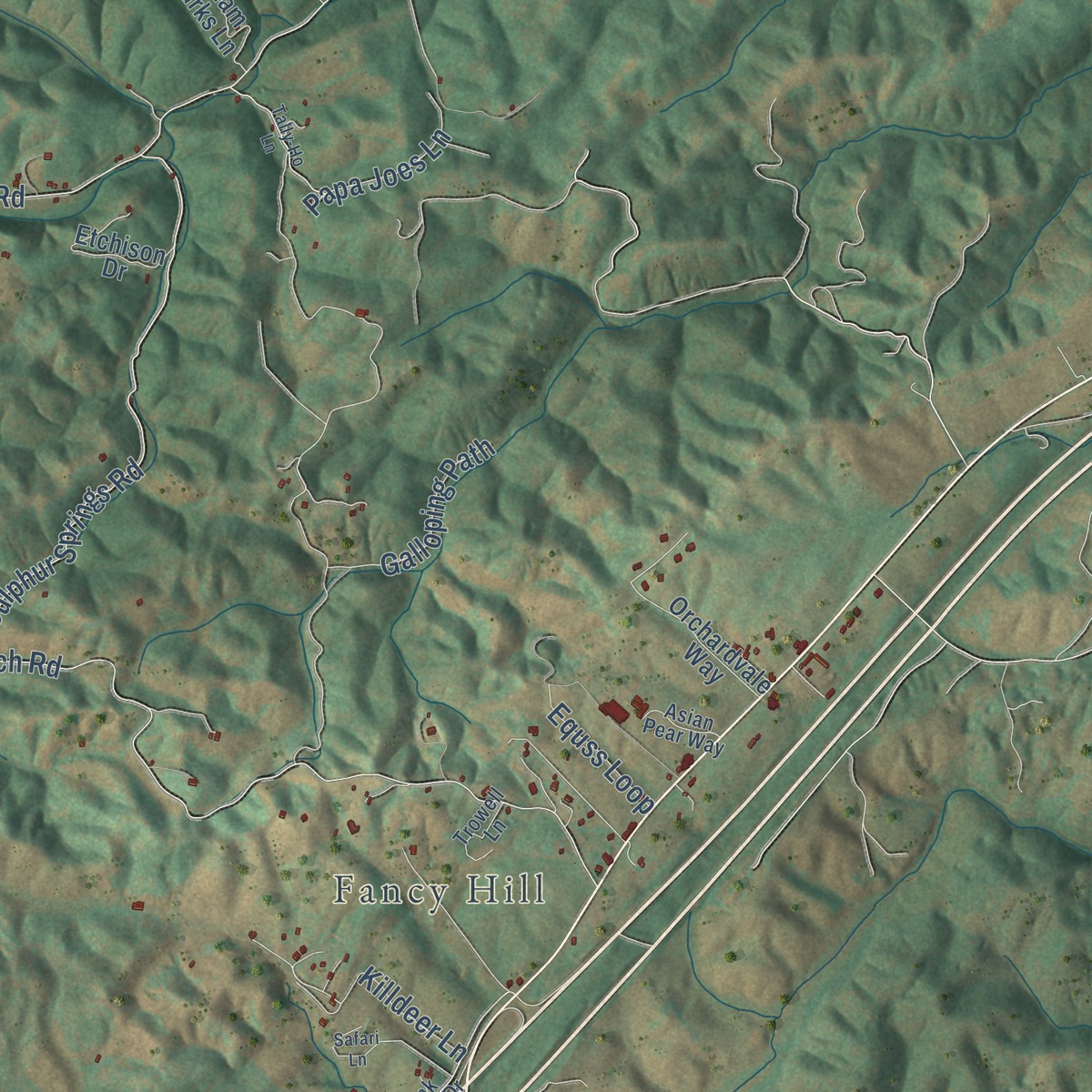 Second close-up of the map of Natural Bridge, Virginia print showing more streets and buildings