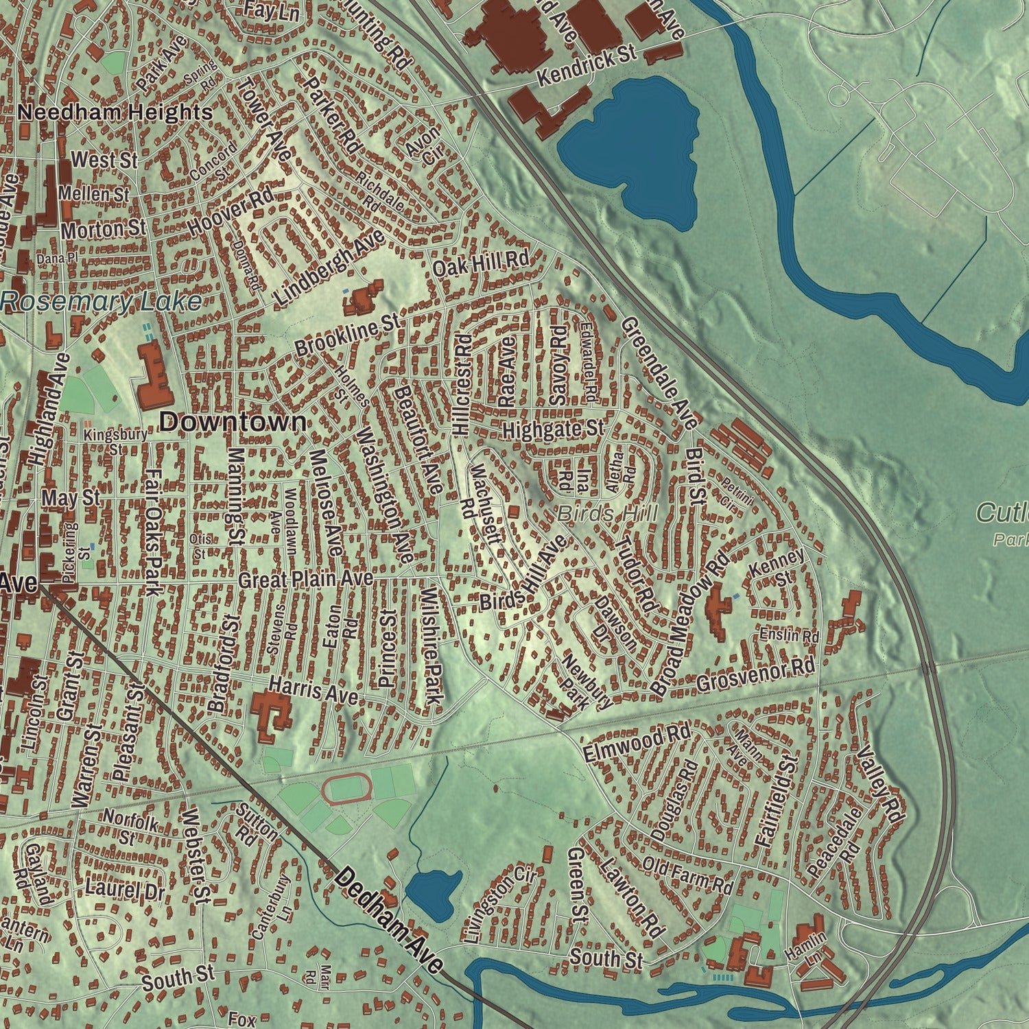 Close-up of the map of Needham, Massachusetts print showing terrain and local geography