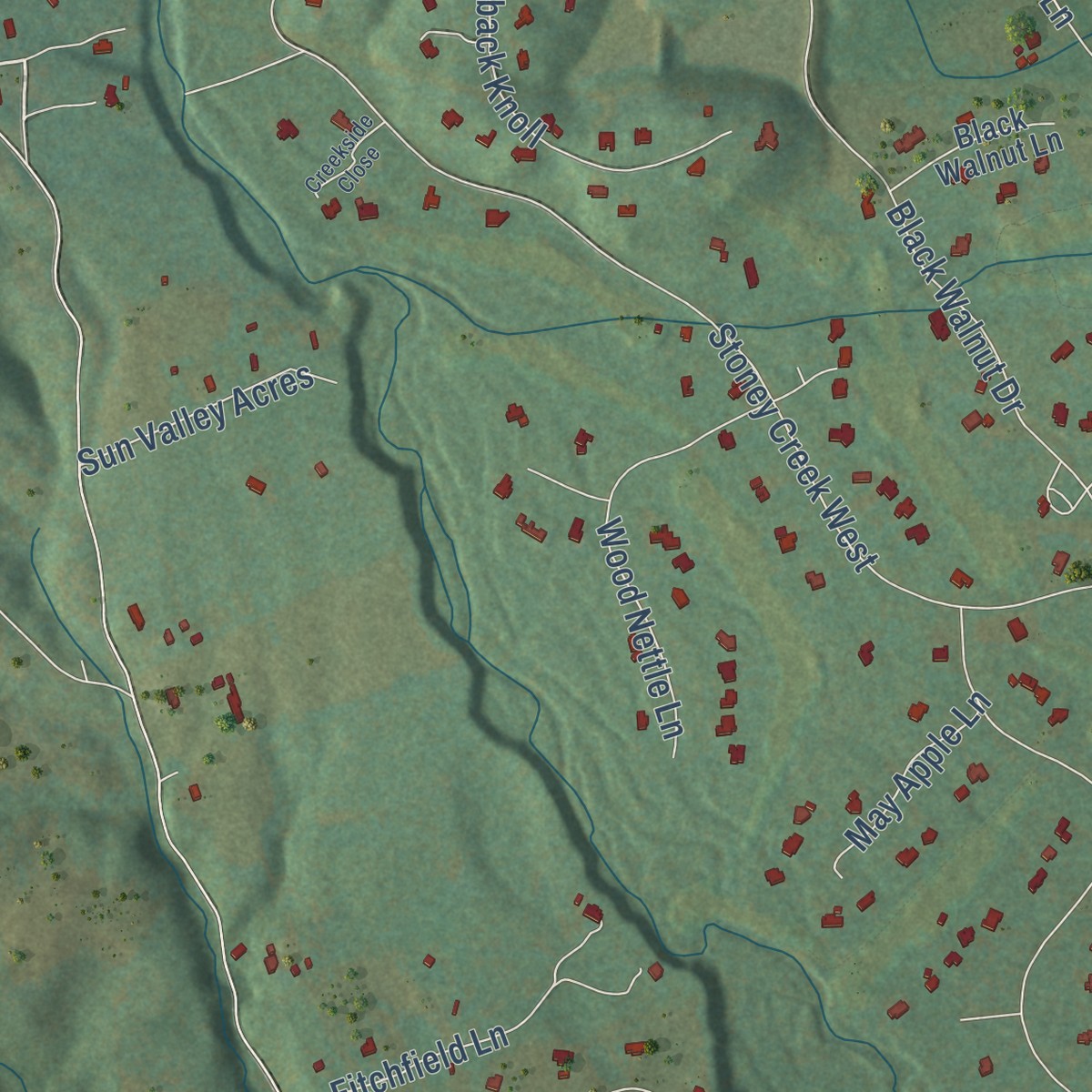 Second close-up of the map of Nellysford, Virginia print showing more streets and buildings