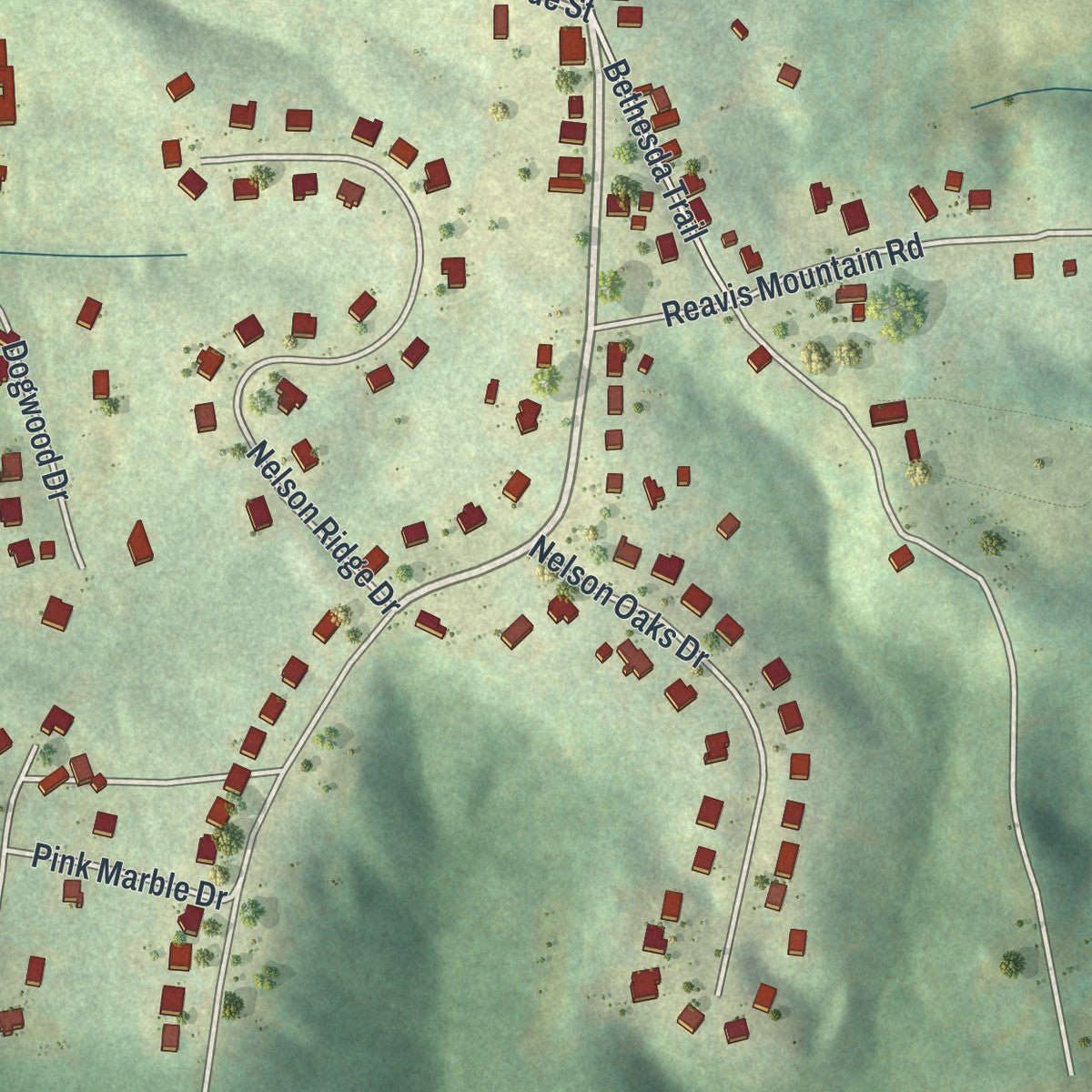 Second close-up of the map of Nelson, Georgia print showing more streets and buildings