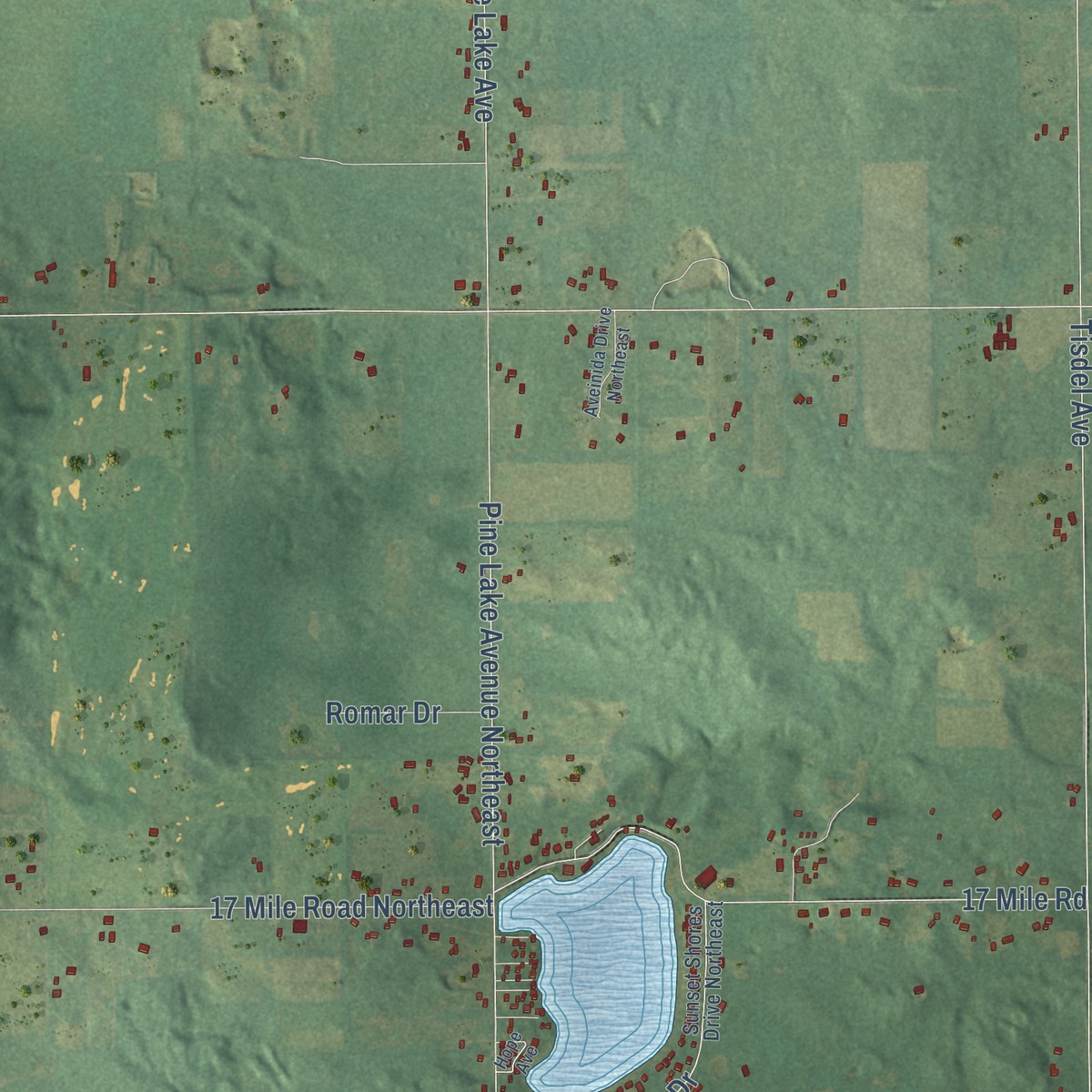 Second close-up of the map of Nelson, Michigan print showing more streets and buildings