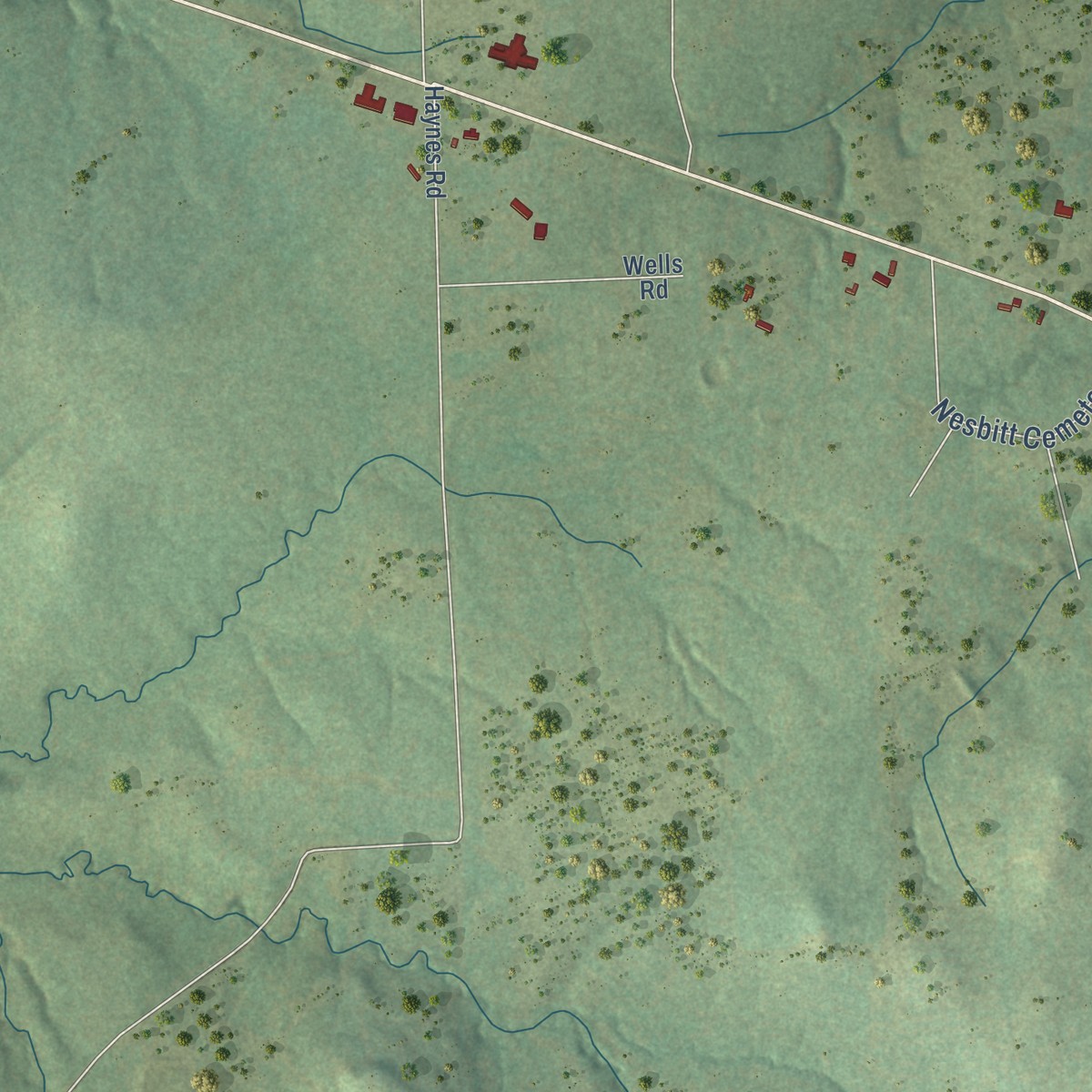 Second close-up of the map of Nesbitt, Texas print showing more streets and buildings