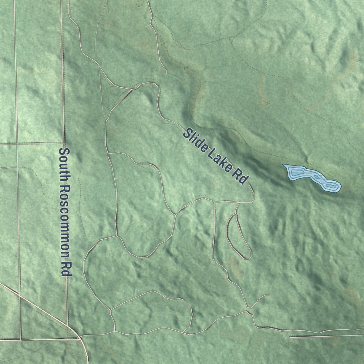Second close-up of the map of Nester, Michigan print showing more streets and buildings
