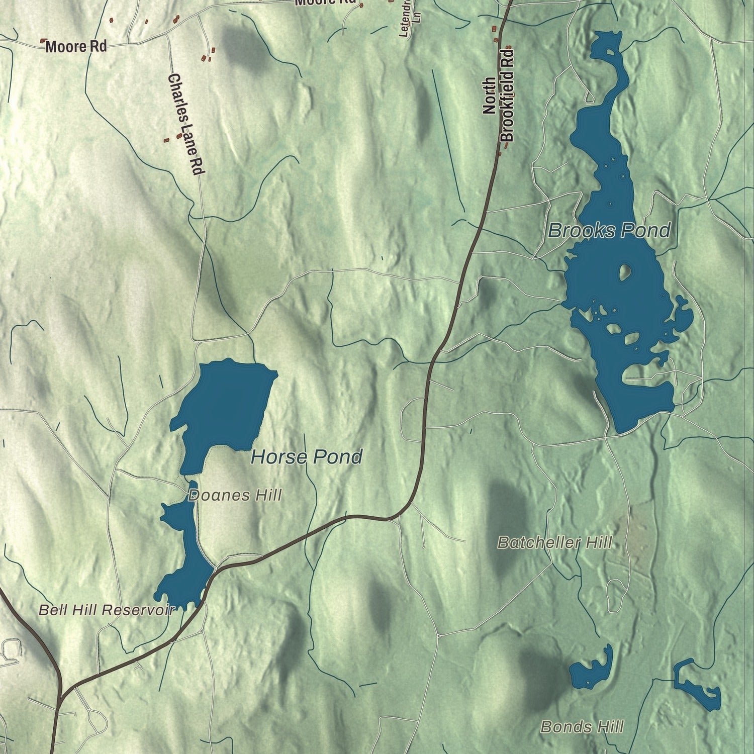 Close-up of the map of New Braintree, Massachusetts print showing terrain and local geography