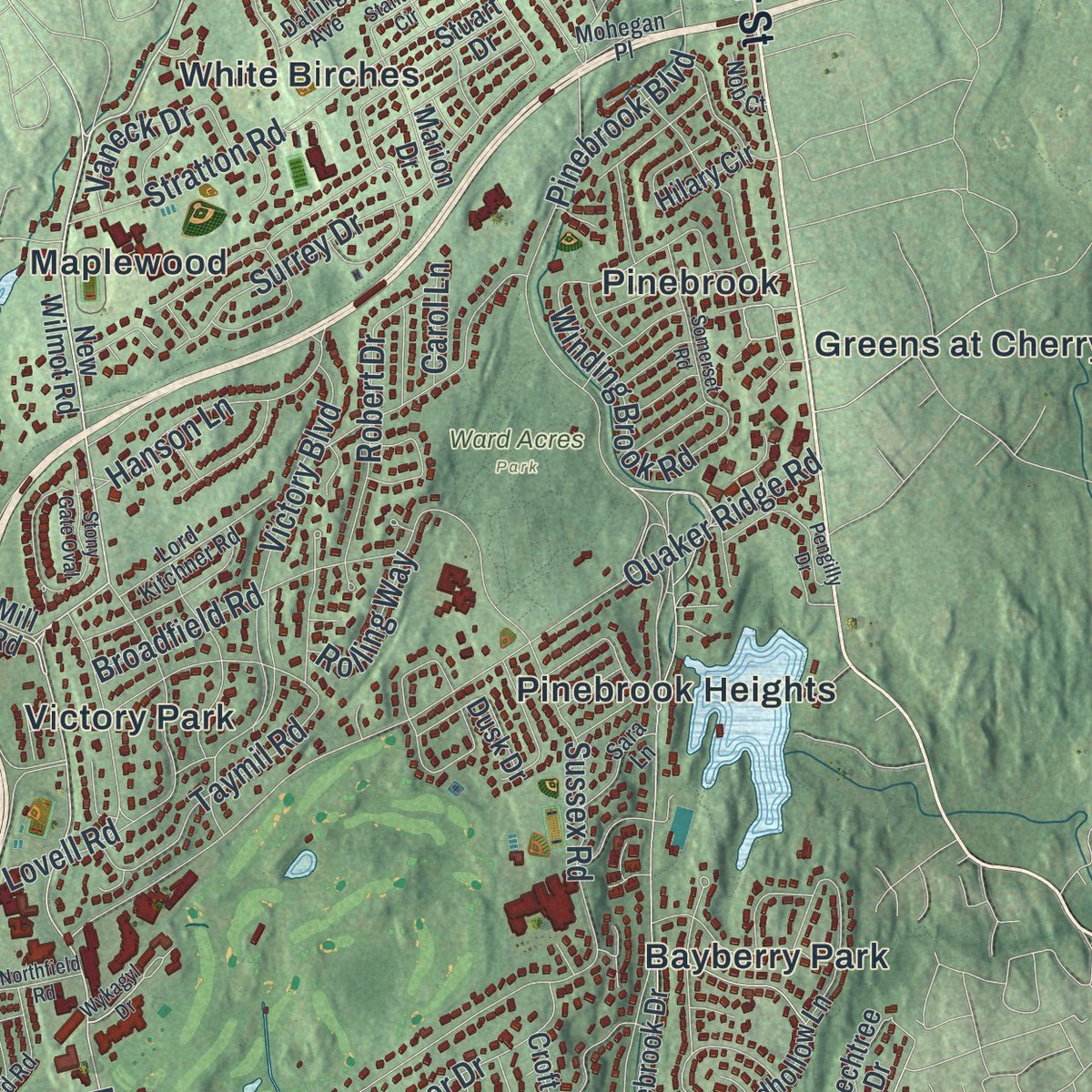 Second close-up of the map of New Rochelle, New York print showing more streets and buildings