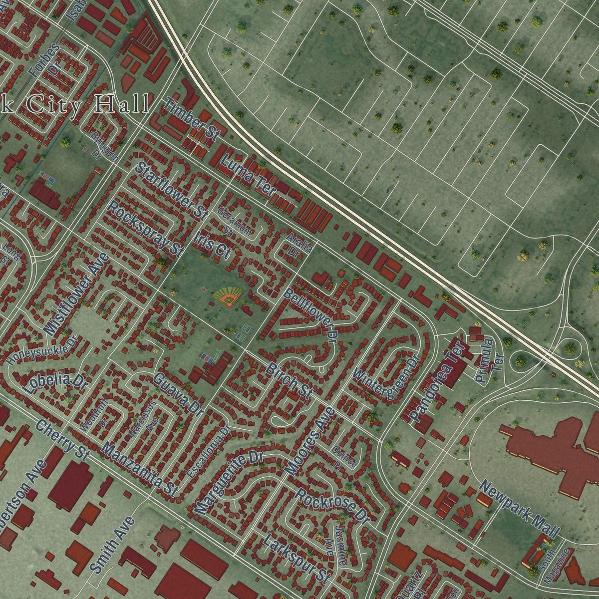 Second close-up of the map of Newark, California print showing more streets and buildings